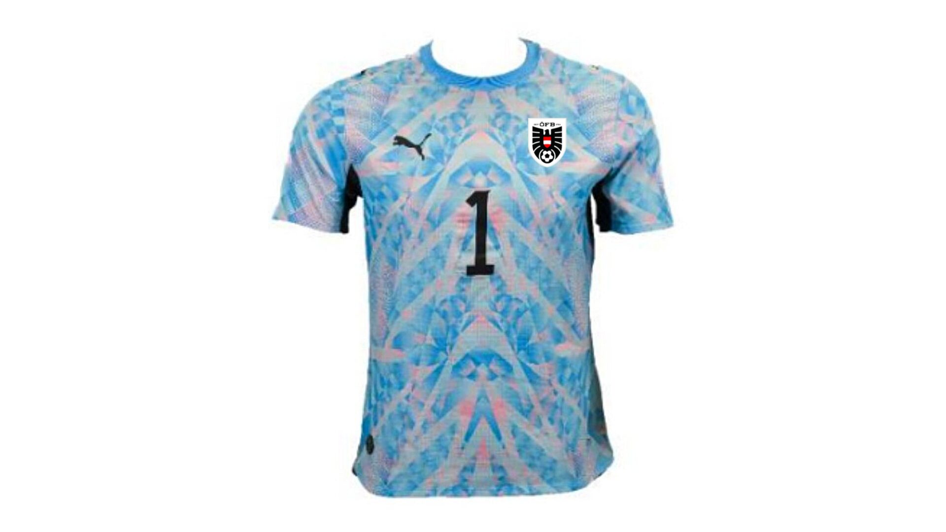 オーストリア代表 FIFAワールドカップ 2026 GK 1 ユニフォーム【PUMA プーマ】
