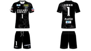 徳島ヴォルティス J2リーグ 2026 GK 2 ユニフォーム【MIZUNO ミズノ】
