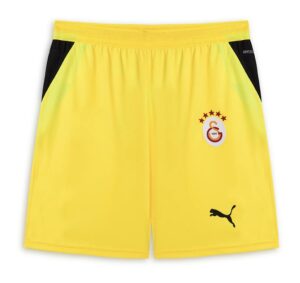 ガラタサライSK スュペル・リグ 2026-27 GK 2 ユニフォーム【PUMA プーマ】