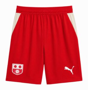 サウサンプトンFC EFLチャンピオンシップ 2026-27 3rd ユニフォーム【松木 玖生】